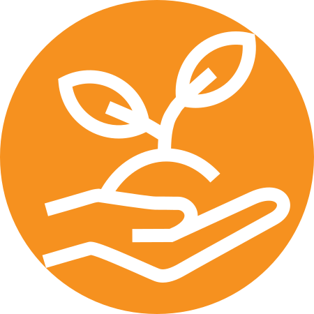 Installations De Production D'engrais Organiques