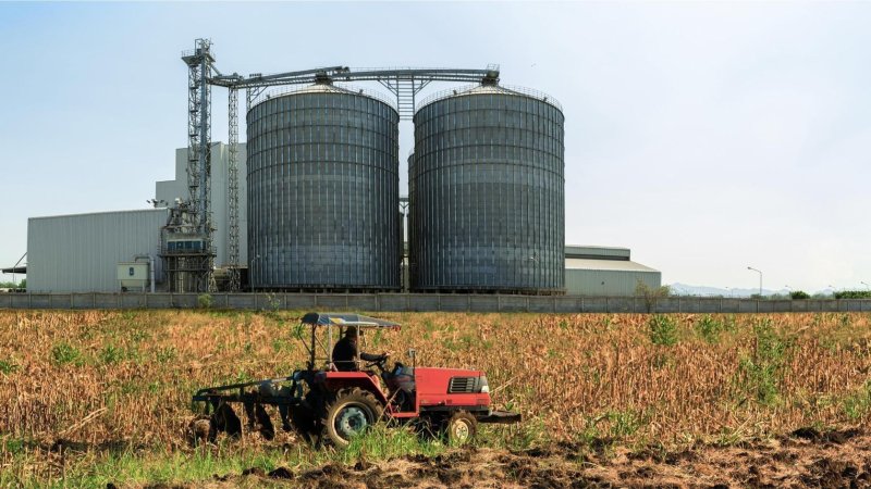 Our Fertilizer Production Activities